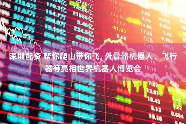 深圳配资 帮你爬山带你飞, 外骨骼机器人、飞行器等亮相世界机器人博览会