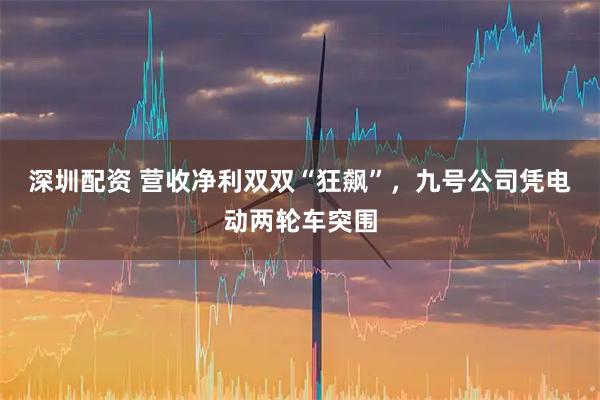 深圳配资 营收净利双双“狂飙”，九号公司凭电动两轮车突围